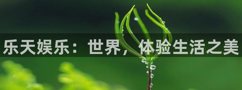 庄闲和游戏官网