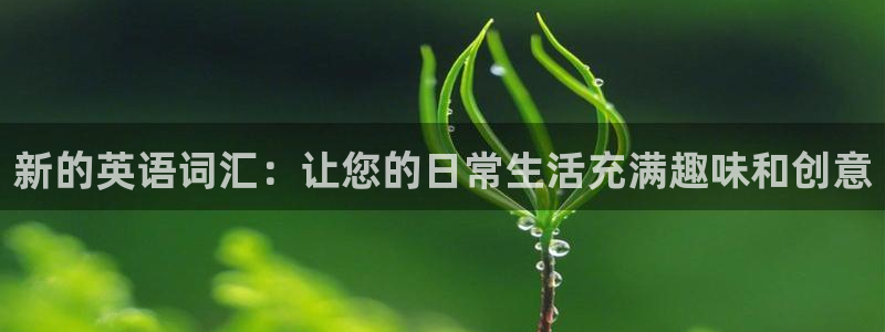 庄闲和游戏官网