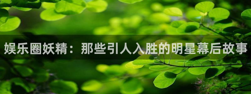庄闲和游戏官网