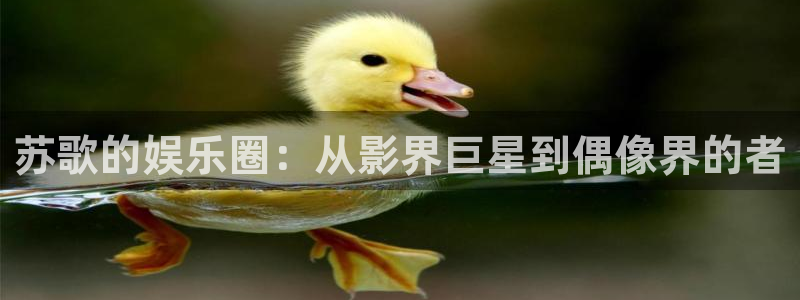 庄闲和游戏官网