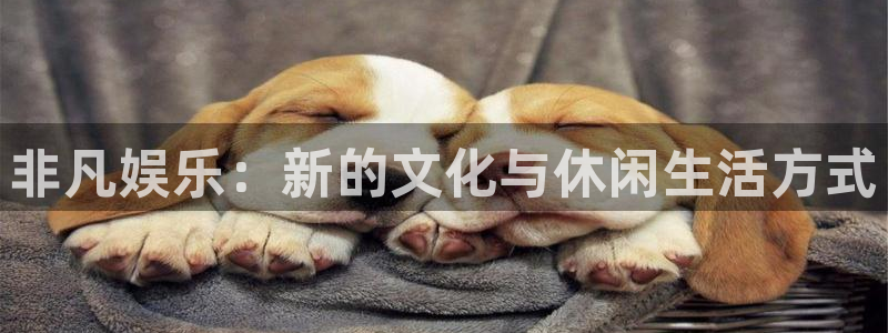 庄闲和游戏官网
