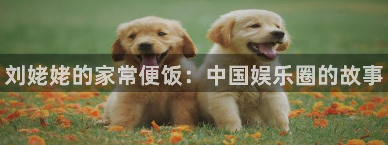 庄闲和游戏官网