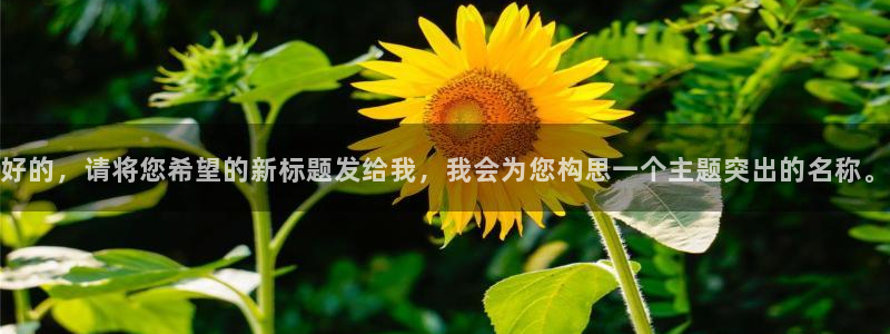 庄闲和游戏官网